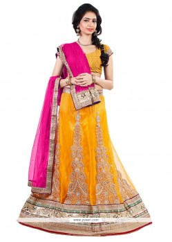 Delectable Net Embroidered Work A Line Lehenga Choli