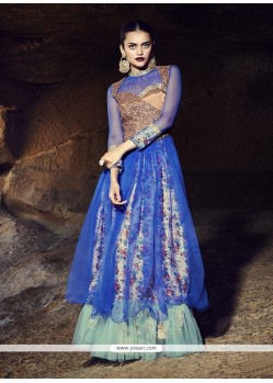 Trendy Net Resham Work Blue Designer Gown