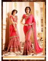 Baronial Net Patch Border Work Designer Saree