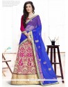Dilettante Embroidered Work Blue And Hot Pink A Line Lehenga Choli