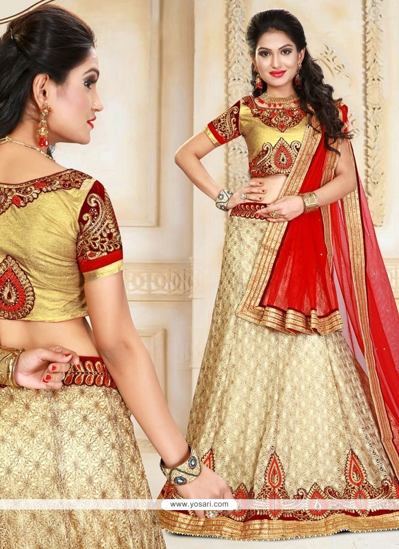 Capricious Gold And Red Patch Border Work Net A Line Lehenga Choli