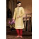 Designer Indian Punjabi Churidar Kurta In Gold