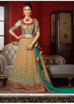 Baronial Net Beige A Line Lehenga Choli