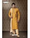 Golden And Firozi 2 Ton Art Silk Kurta