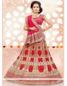 Tantalizing Net Patch Border Work A Line Lehenga Choli