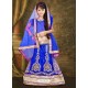 Attractive Blue Net Lehengha Choli