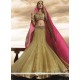 Lavish Net Lehenga Choli