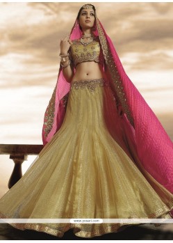 Lavish Net Lehenga Choli