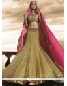 Lavish Net Lehenga Choli