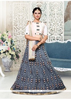 Awesome Embroidered Work Grey Net Lehenga Choli