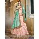 Fancy Fabric Pink Patch Border Work Lehenga Choli