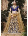 Net Blue Lehenga Choli