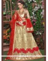 Resham Work Net Lehenga Choli