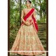 Embroidered Work Lehenga Choli