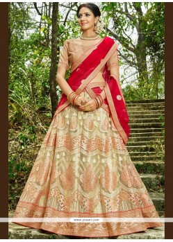 Embroidered Work Lehenga Choli