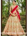 Embroidered Work Lehenga Choli