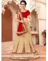 Net Lehenga Choli