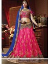 Net Zari Work Lehenga Choli