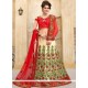 Net Embroidered Work Lehenga Choli