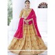 Cream Embroidered Work Lehenga Choli