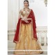 Beige Lace Work Lehenga Choli