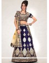 Navy Blue Patch Border Work Lehenga Choli