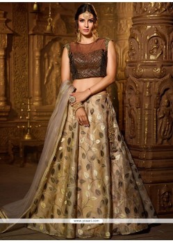 Stone Work A Line Lehenga Choli