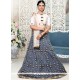 Fancy Fabric Grey Lehenga Choli