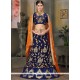 Navy Blue Resham Work Net Lehenga Choli