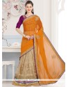 Lace Work Net Casual Saree