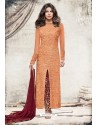 Priyanka Chopra Orange Net Embroidered Suit