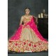 Beige Banarasi Silk Lehenga Style Saree