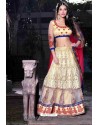 Cream Net Embroidered Lehenga Choli