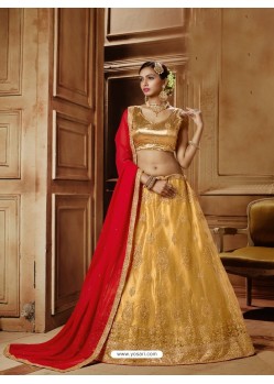 Cream Net Embroidered Lehenga Choli