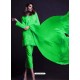 Parrot Green Georgette Embroidered Designer Straight Suit