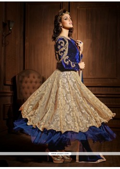 Blue And Cream Net And Velvet Anarkali Suit
