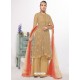 Beige Dyed Net Embroidered Designer Straight Suit