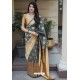 Grey Banarasi Silk Weaving Patola Silk Designer Saree