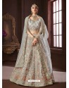 Silver Organza Silk Stone Embroidered Designer Lehenga Choli