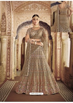 Light Brown Net Heavy Embroidered Bridal Lehenga Choli