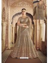 Light Brown Net Heavy Embroidered Bridal Lehenga Choli