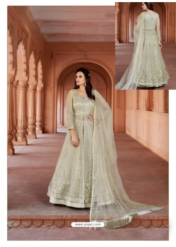 Taupe Net Heavy Embroidered Designer Floor Length Suit