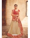 Beige Heavy Designer Pure Tussar Silk Lehenga Choli