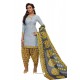 Aqua Grey Designer Cotton Printed Punjabi Patiala Suit