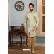 Grayish Green Readymade Heavy Embroidered Indowestern Sherwani For Men