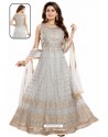 Grey Net With Butter Crape Embroidered Anarkali Suit