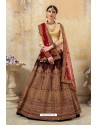 Coffee Embroidered Designer Party Wear Lehenga