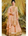 Light Orange Heavy Net With Pure Silk Embroidered Designer Suit