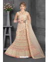 Beige Net Fancy Embroidered Designer Lehenga Choli