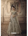 Taupe Net Embroidered Stone Worked Lehenga Choli